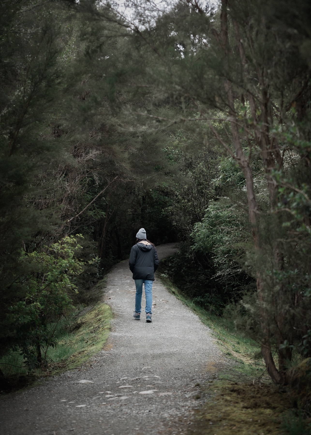 A person walking along a quiet forest path