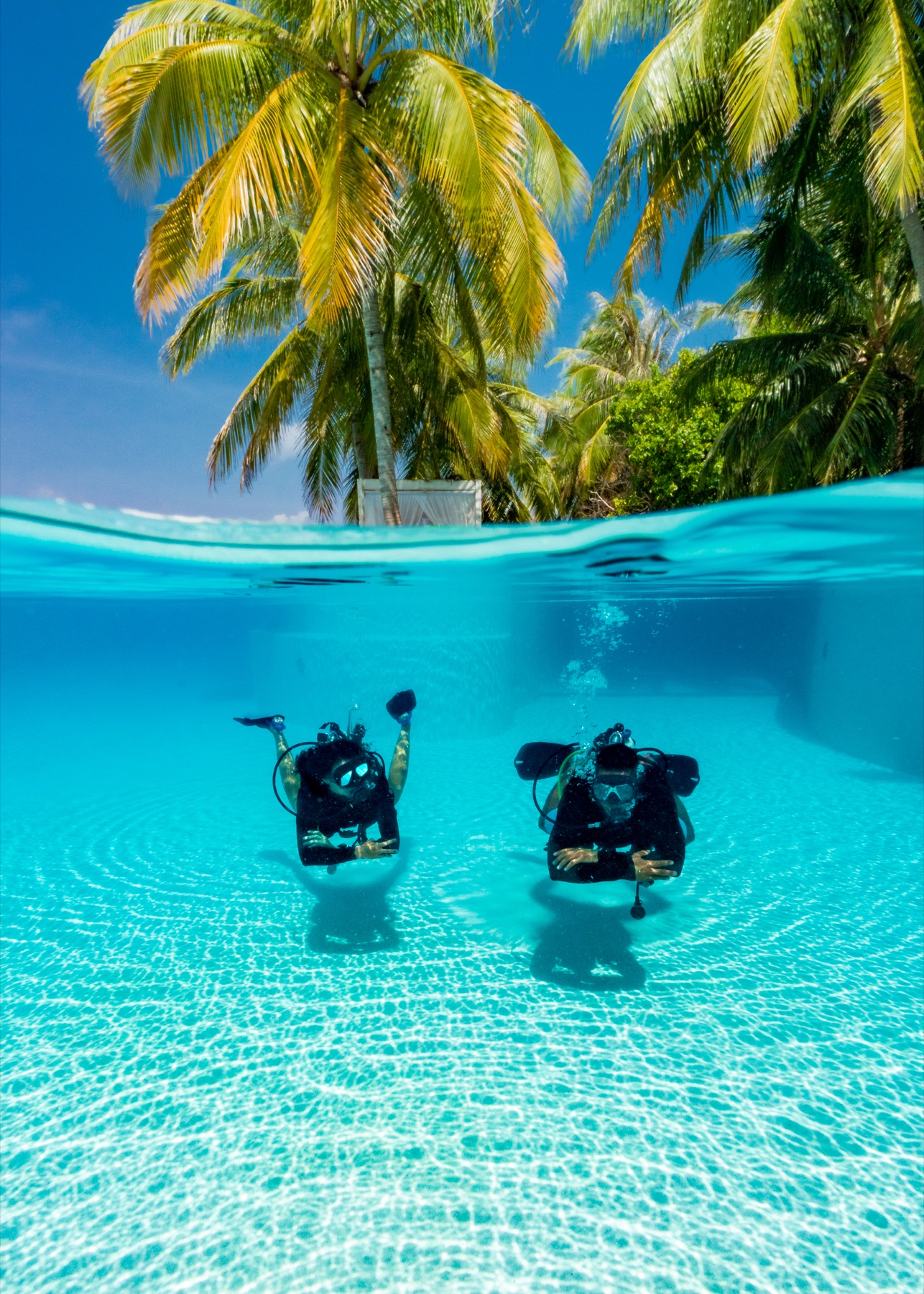 Divers underwater with palms and a tropical island above