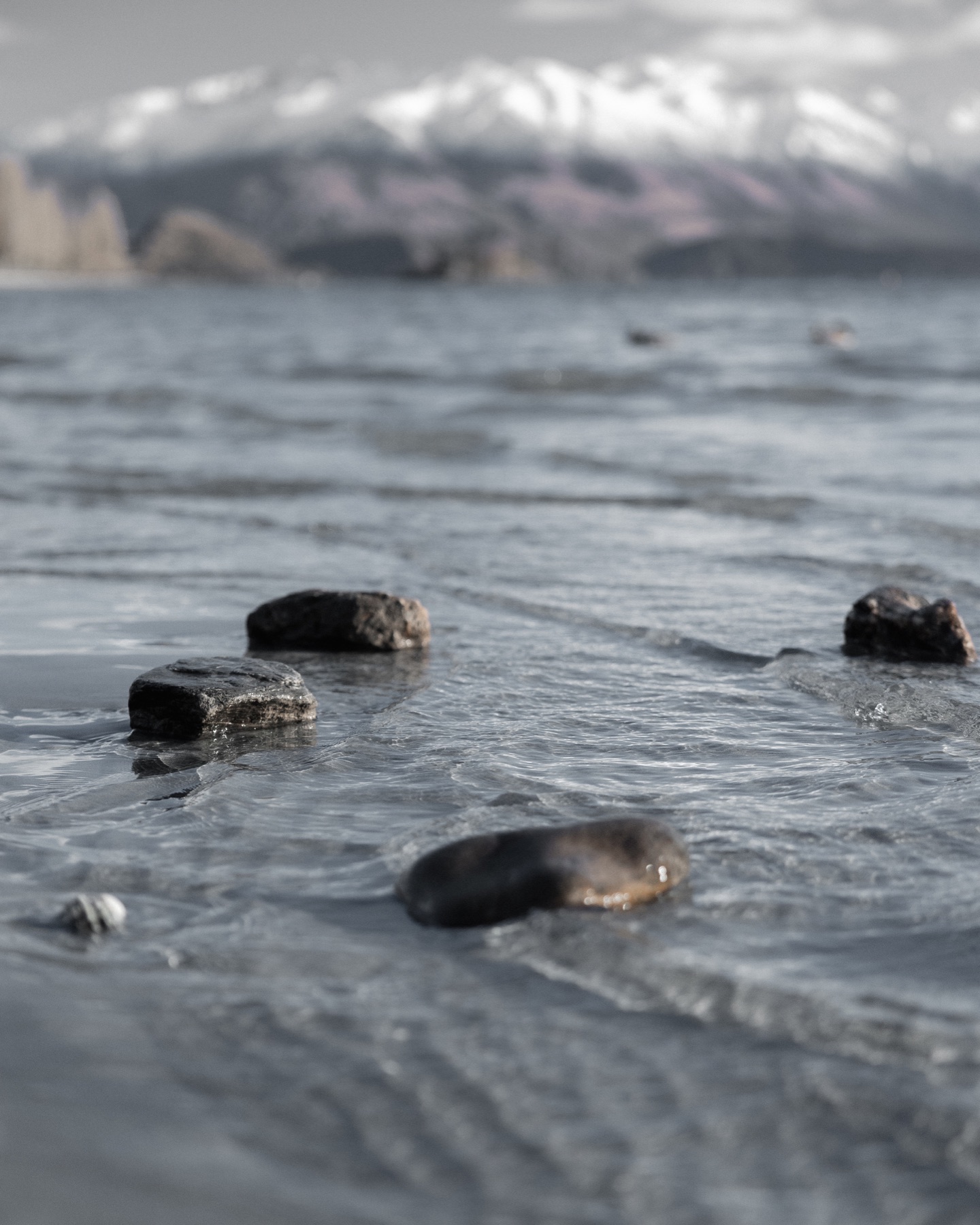River stones in shallow water beneath distant mountains